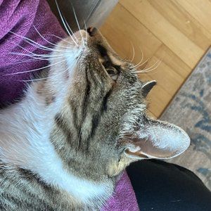 Meet your Posher, Lorie